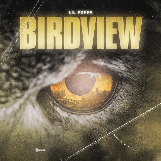 Birdview