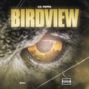 Birdview